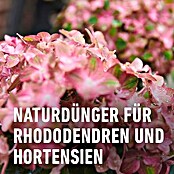 Compo Bio-Schafwolldünger Rhododendron & Hortensien (2 kg, Hortensien) | BAUHAUS
