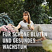 Compo Bio-Schafwolldünger Rhododendron & Hortensien (2 kg, Hortensien) | BAUHAUS