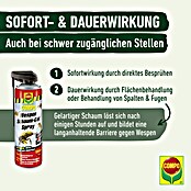 Compo Wespen-Spray Schaum-Gel (500 ml) | BAUHAUS