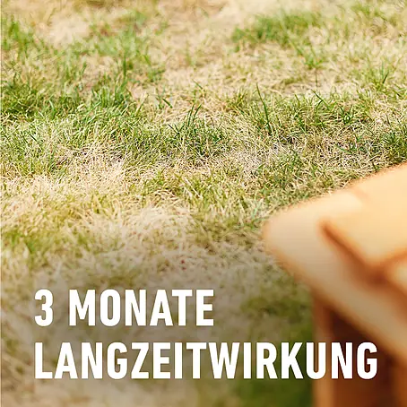 saatgut für hochbeet BIO-Saatgut-Set 