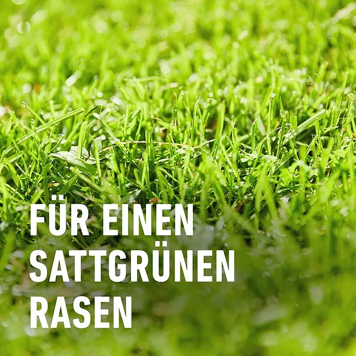 Compo Saat Vertikutier-Mix - 4 kg, 133 m² - Nahaufnahme von saftig grünem Gras mit dem Text "Für einen sattgrünen Rasen" für einen gesunden und attraktiven Rasen.