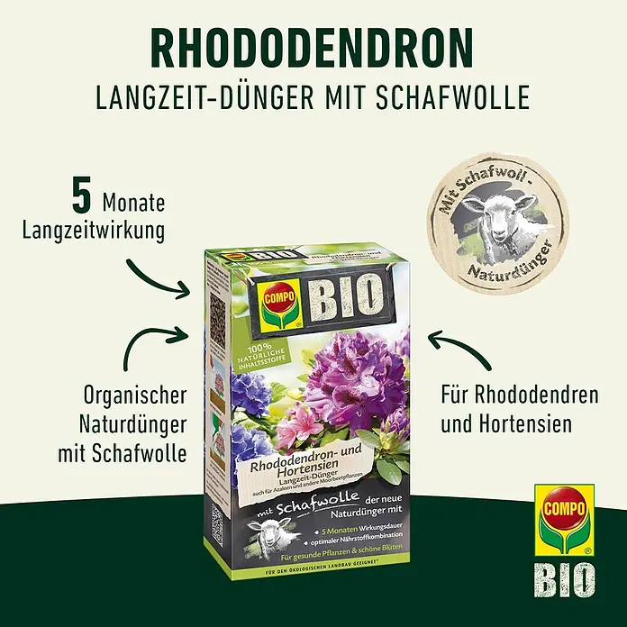 Compo Bio-Schafwolldünger Rhododendron & Hortensien - 2 kg, Hortensien - COMPO BIO Rhododendron Langzeit-Dünger mit Schafwolle für Rhododendren und Hortensien. Organischer Naturdünger für gesunde Pflanzen und schöne Blüten.