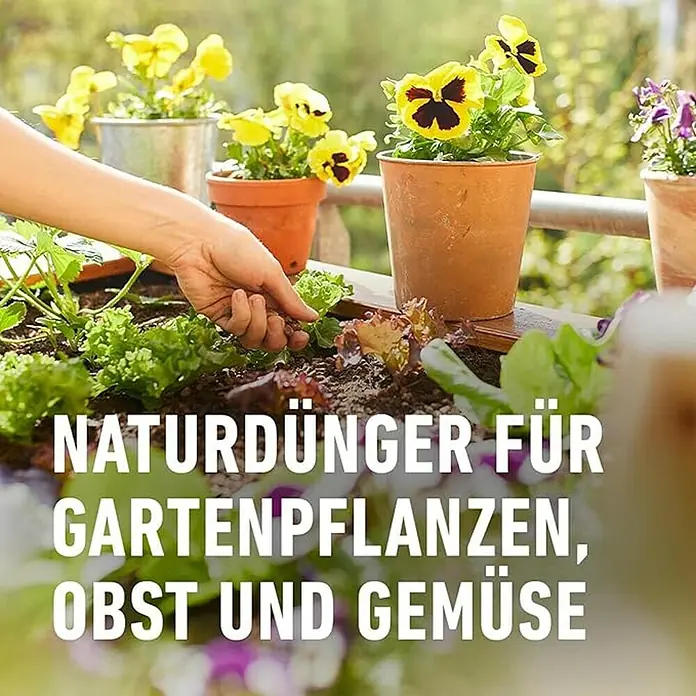 Compo Bio-Schafwolldünger Universal - 2 kg, Gartenpflanzen - Natürlicher Dünger für Gartenpflanzen, Obst und Gemüse. Gesunde und nachhaltige Pflanzenpflege.