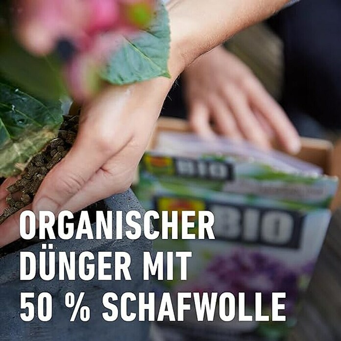 Compo Bio-Schafwolldünger Rhododendron & Hortensien (2 kg, Hortensien) | BAUHAUS