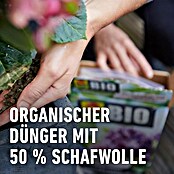 Compo Bio-Schafwolldünger Rhododendron & Hortensien (2 kg, Hortensien) | BAUHAUS