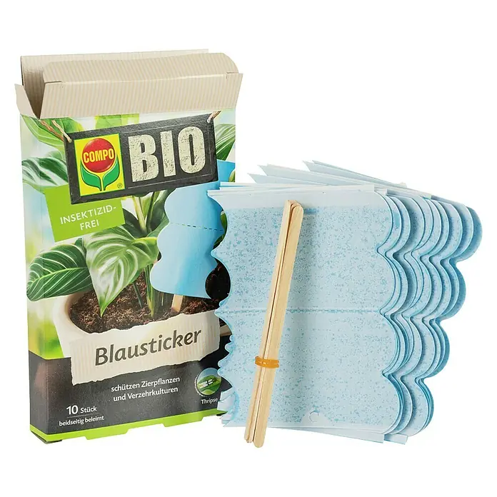 Compo Klebefalle Blausticker - 10 Stk. - Compo Bio Blausticker zur Schädlingsbekämpfung an Zierpflanzen und Verzehrkulturen, insektizidfrei und beidseitig beleimt mit 10 Stück im Karton.