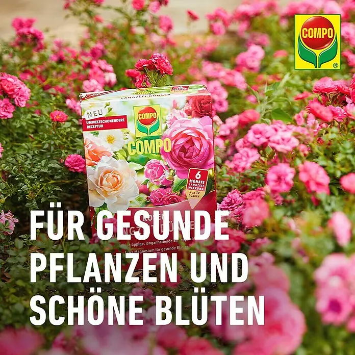 Compo Langzeitdünger Rosen - 850 g - COMPO Dünger für gesunde Pflanzen und schöne Blüten, mit neuer, umweltschonender Rezeptur und 6 Monate Langzeitwirkung.