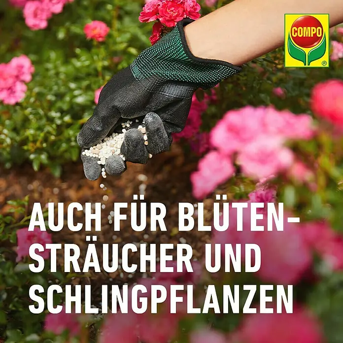Compo Langzeitdünger Rosen - 850 g - COMPO Dünger für Blütensträucher und Schlingpflanzen: Eine Hand mit Gartenhandschuh streut Dünger zwischen blühenden Pflanzen.
