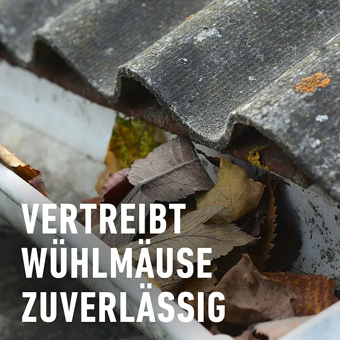 Compo Wühlmaus-Stopp Cumarax - 200 g - Das Bild zeigt eine verstopfte Dachrinne voller Blätter. Text: "Vertreibt Wühlmäuse zuverlässig".