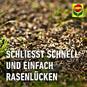Compo Saat Rasensamen Reparatur Komplett-Mix+ (4 kg, 20 m²) | BAUHAUS