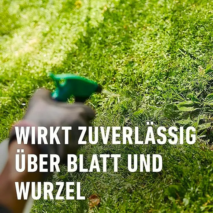 Compo Unkrautvernichter Banvel® Quattro - 75 ml - Spritzen von Unkrautvernichter. Wirkt zuverlässig über Blatt und Wurzel gegen unerwünschte Pflanzen im Garten.