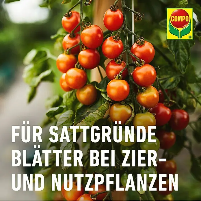 Compo Universaldünger Eisen - 250 ml - Saftig grüne Blätter mit COMPO für Zier- und Nutzpflanzen, für gesundes Wachstum und üppige Ernte.