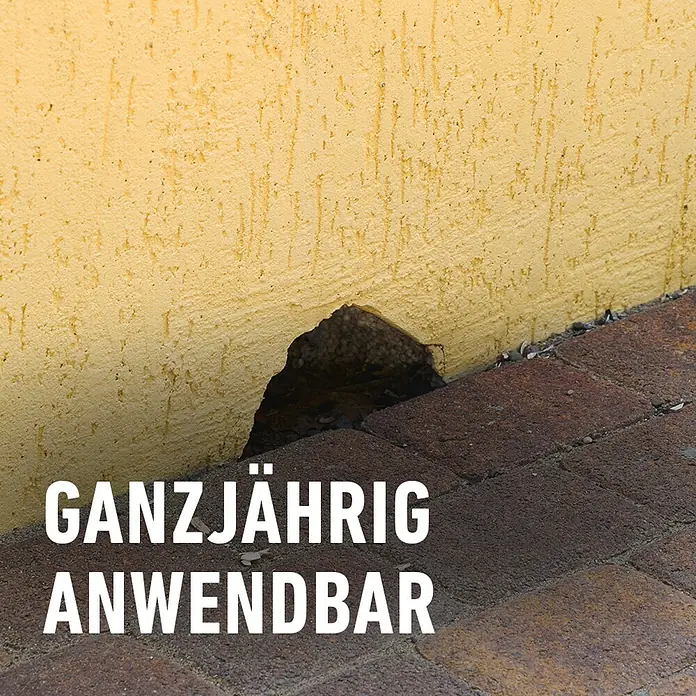 Compo Wühlmaus-Stopp Cumarax - 200 g - Bild eines Loches in einer Wand mit dem Text "GANZJÄHRIG ANWENDBAR" im Vordergrund.
