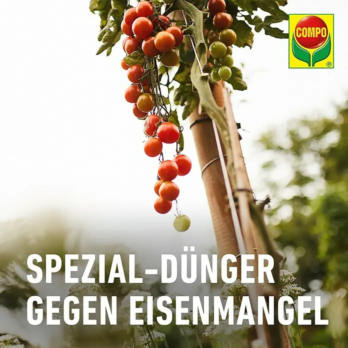 Compo Universaldünger Eisen - 250 ml - Spezial-Dünger gegen Eisenmangel von COMPO für gesunde Pflanzen. Perfekt für Tomaten und andere eisenbedürftige Gewächse im Garten.