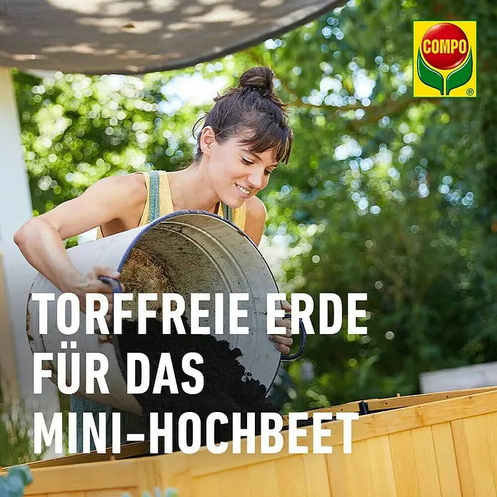 saatgut synonym Gewürzfenchel Saatgut – Küchenkräuter main image 1