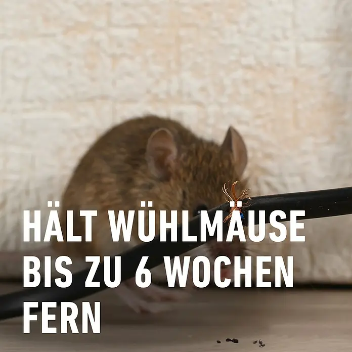Compo Wühlmaus-Stopp Cumarax - 200 g - Bild zeigt eine Maus, die an einem Kabel nagt. Der Text "Hält Wühlmäuse bis zu 6 Wochen fern" suggeriert ein Produkt zur Mäuseabwehr.