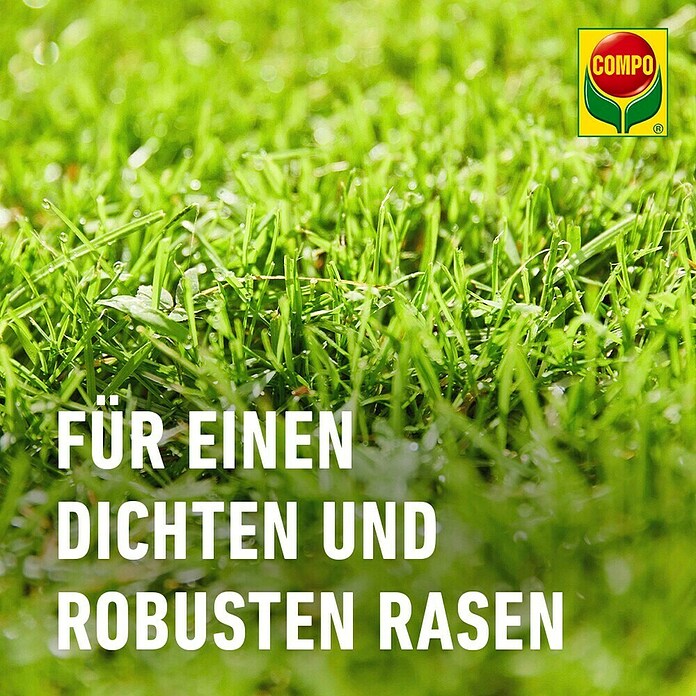 Compo Saat Rasensamen Reparatur Komplett-Mix+ (4 kg, 20 m²) | BAUHAUS