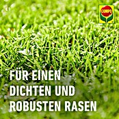 Compo Saat Rasensamen Reparatur Komplett-Mix+ (4 kg, 20 m²) | BAUHAUS