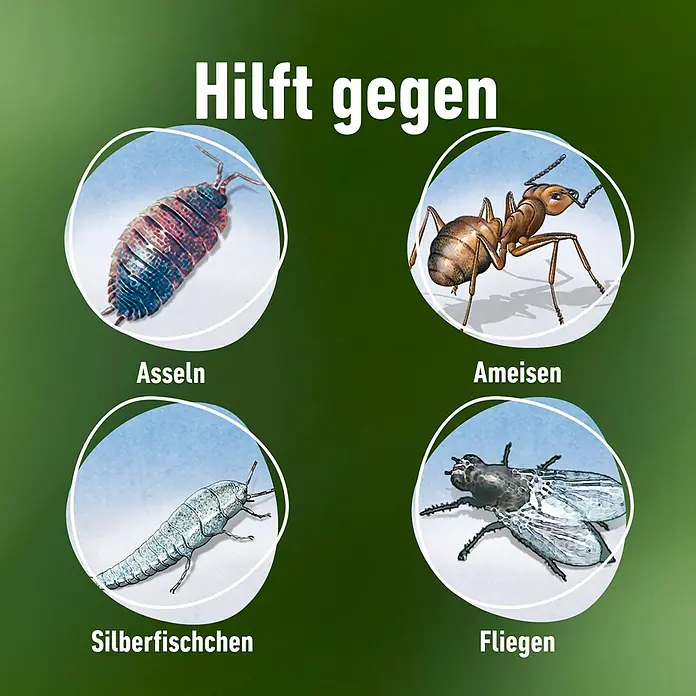 Compo Bettwanzenspray - 400 ml - Das Bild zeigt eine Auswahl von Schädlingen, gegen die das Produkt hilft: Asseln, Ameisen, Silberfischchen und Fliegen.