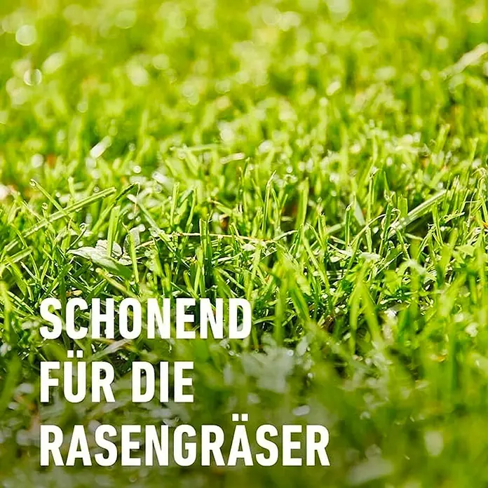 Compo Unkrautvernichter Banvel® Quattro - 75 ml - Nahaufnahme von Rasen mit Text "Schonend für die Rasengräser".