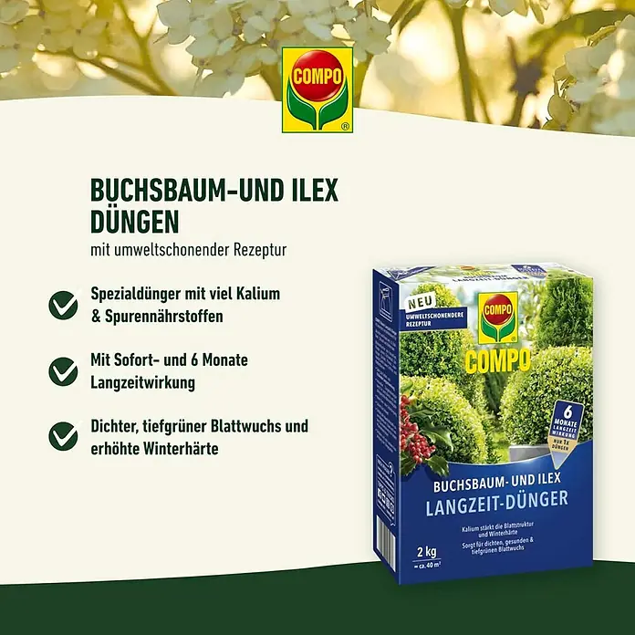 Compo Langzeitdnger Buchsbaum & Ilex - 850 g, Max. Anwendungsflche: 17 m  online kaufen bei BAUHAUS