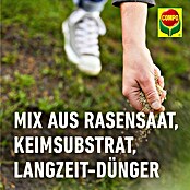 Compo Saat Rasensamen Reparatur Komplett-Mix+ (4 kg, 20 m²) | BAUHAUS