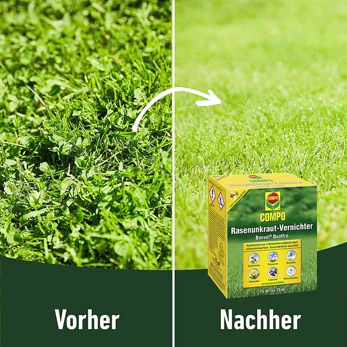 Compo Unkrautvernichter Banvel® Quattro - 75 ml - Bild zeigt die Wirkung von COMPO Banvel Quattro Rasenunkraut-Vernichter: Vorher dichter Bewuchs, nachher ein gepflegter Rasen.