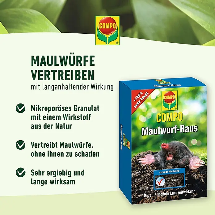 Compo Tiervertreiber Maulwurf-Raus - 200 g - Maulwurf-Raus von COMPO: Das Produkt vertreibt Maulwürfe mit einem natürlichen Wirkstoff und langer Wirkdauer.