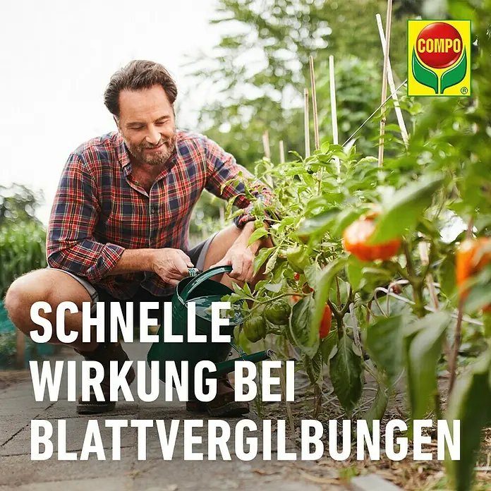 Compo Universaldünger Eisen - 250 ml - Ein Mann gießt Pflanzen mit Compo-Produkt, das schnelle Wirkung bei Blattvergilbungen verspricht.
