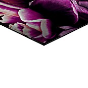 Reinders Glasbild Power Cat (Power Cat, B x H: 100 x 140 cm) | BAUHAUS