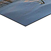 Reinders Glasbild Golden Hour (Golden Hour, B x H: 52 x 156 cm) | BAUHAUS