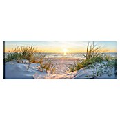 Reinders Glasbild Golden Hour (Golden Hour, B x H: 40 x 118 cm) | BAUHAUS