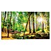 Reinders Glasbild Spring Forest 