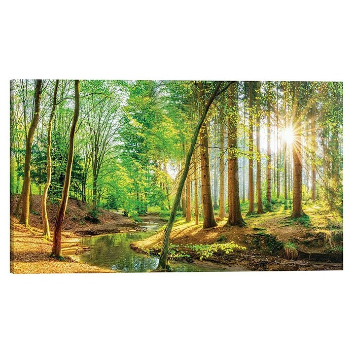 Reinders Glasbild Spring Forest (Spring Forest, B x H: 70 x 118 cm) | BAUHAUS