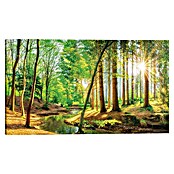 Reinders Glasbild Spring Forest (Spring Forest, B x H: 70 x 118 cm) | BAUHAUS