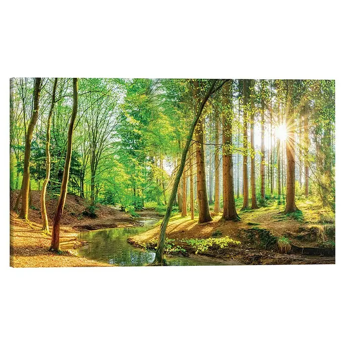 Reinders Glasbild Deco Block - Spring Forest, B x H: 70 x 118 cm - Waldlandschaft mit Sonnenstrahlen und einem Bachlauf. Die Bäume sind grün und die Sonne scheint hell durch das Blätterdach.