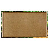 Reinders Glasbild Spring Forest (Spring Forest, B x H: 70 x 118 cm) | BAUHAUS