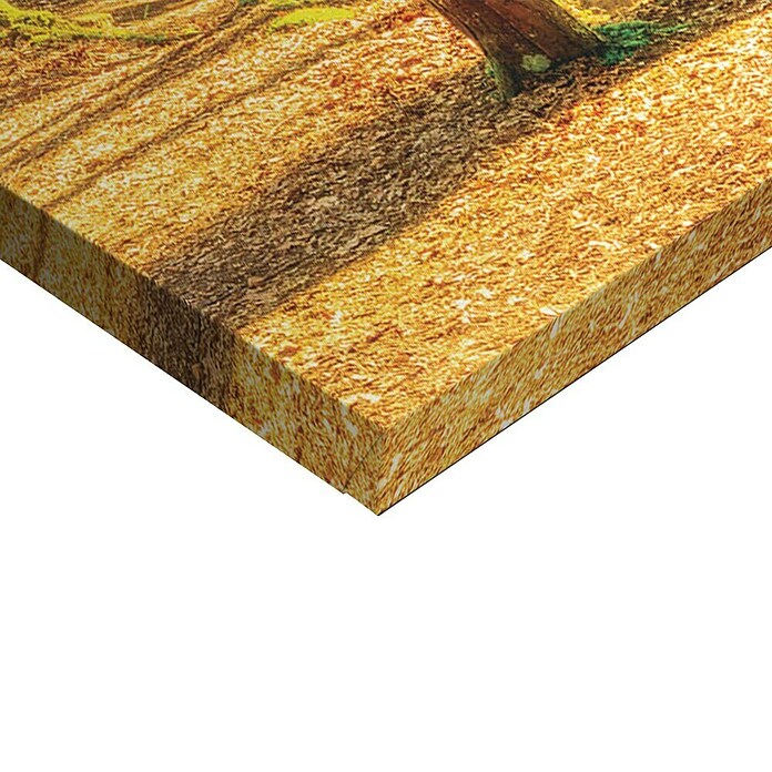 Reinders Glasbild Spring Forest (Spring Forest, B x H: 70 x 118 cm) | BAUHAUS