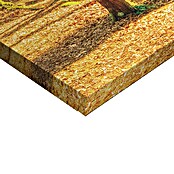 Reinders Glasbild Spring Forest (Spring Forest, B x H: 70 x 118 cm) | BAUHAUS