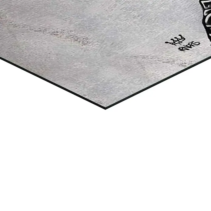 Reinders Glasbild Surprise Wall - Surprise Wall, B x H: 52 x 156 cm - Das Bild zeigt einen Skate Kings Skateboard, das auf einer ebenen Fläche platziert ist. Das Brett hat eine graue Oberfläche mit einer schwarzen Grafik.
