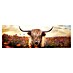 Reinders Glasbild Spring Highlander 