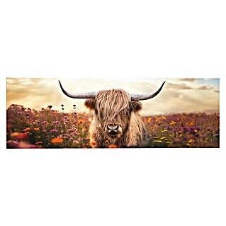 Reinders Glasbild Spring Highlander (Spring Highlander, B x H: 52 x 156 cm)
