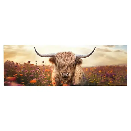 Reinders  Glasbild Spring Highlander
