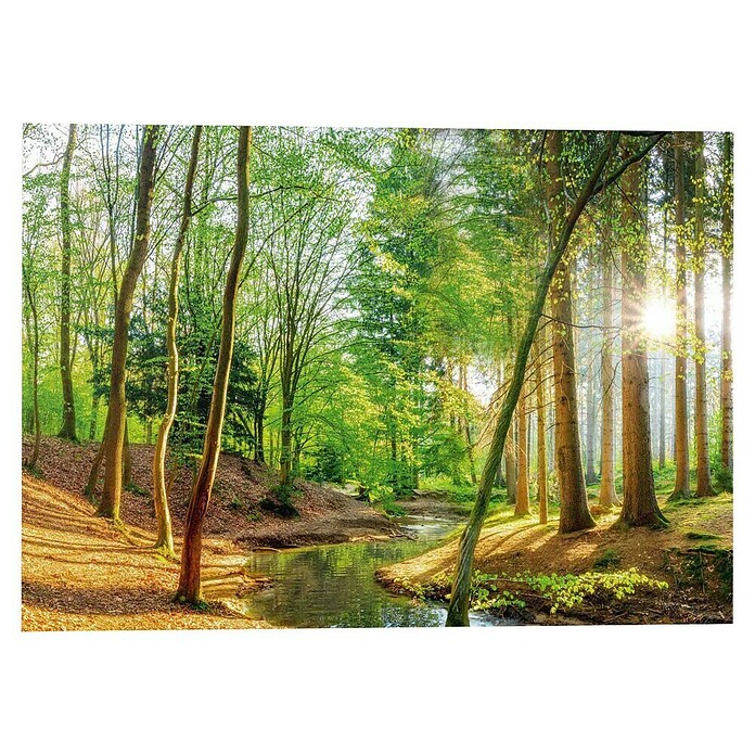Reinders Glasbild Spring Woods (Spring Woods, B x H: 100 x 140 mm) | BAUHAUS