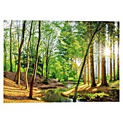 Reinders Glasbild Spring Woods (Spring Woods, B x H: 100 x 140 mm) | BAUHAUS