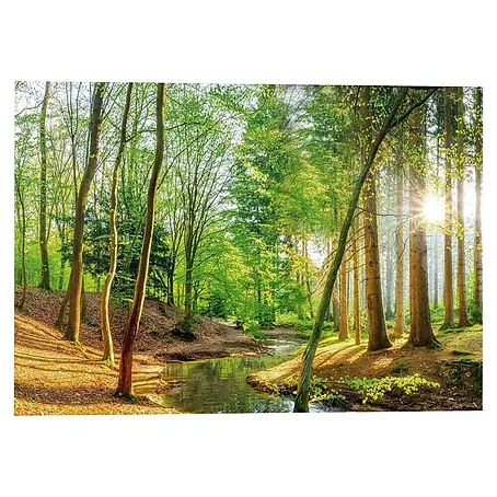 Reinders  Glasbild Spring Woods