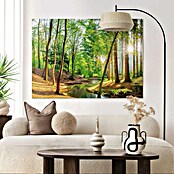 Reinders Glasbild Spring Woods (Spring Woods, B x H: 100 x 140 mm) | BAUHAUS