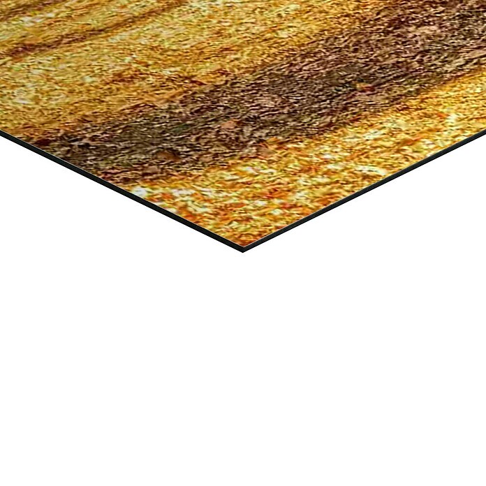 Reinders Glasbild Spring Woods (Spring Woods, B x H: 100 x 140 mm) | BAUHAUS