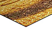 Reinders Glasbild Spring Woods (Spring Woods, B x H: 100 x 140 mm) | BAUHAUS