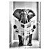 Reinders Glasbild Elephant Toilet 